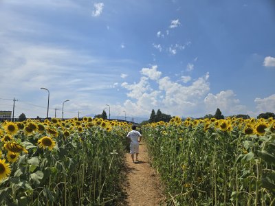 20250808222610.jpg