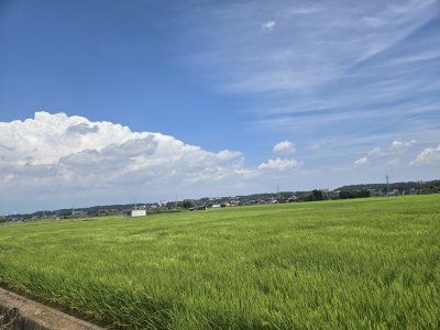 20250808224458.jpg