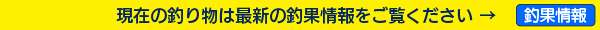 現在の釣り物は最新の釣果情報をご覧ください