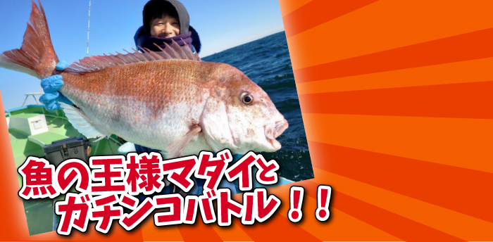 マダイ船〜魚の王様マダイとガチンコバトル!!