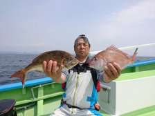 20190421155450.JPG